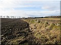 Ploughed fields, Rosemount in PH10 6LT