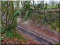 Track in disused railway cutting in GU34 3NZ