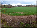 Large field east of Stock Farm in GU34 3NZ