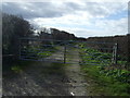 Gated farm track in CH46 5NE