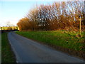 Looking north from junction of bridleway and lane in GU32 1PJ