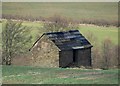 Old shed in a field in S44 5UW