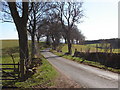 Country Road near Baikie in DD8 5NZ