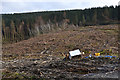 Forestry clearfell on Bryn yr Odin in LL41 4ZB