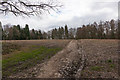 Footpath and field south of Bishopstoke Cemetery in SO50 8PT