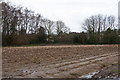 Field south of Bishopstoke Cemetery in SO50 8PT