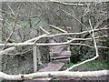 Fallen tree and footbridge in ST10 2BE