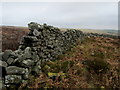 Stone Wall above Grimes Gill in HG4 4LX