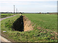 Ditch beside Traice Road in NR16 1HQ