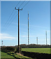 Electricity pylons beside Traice Road in NR16 1HQ
