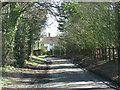Guiler's Lane past Guiler's Farm in NR18 9JX
