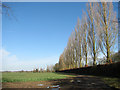 Field by Guiler's Farm in NR18 9JX