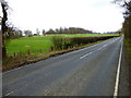 The A32 leaves woodland going towards East Tisted in Ropley, Hawkley & Hangers Ward