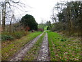 Southern end of track in Plash Wood in GU34 3QE
