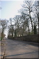The avenue and wall surrounding Farnley Hall in LS12 5NE