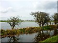 Floods on Churn Plain in OX11 9HF