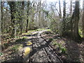 Track to Warminghurst in RH20 2LW