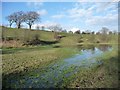 Small pond swollen by rain, east of Carr Head Hall in BD22 0LD