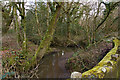 The view down the river Yeo from Smallcombe bridge in EX16 9JR