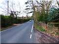 Looking north on Dora's Green Lane in GU10 5DZ
