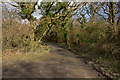 A bridge over the river Yeo on Radnidge Lane in EX16 9JR