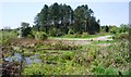 Pit House pond at Wigpool Nature Reserve in GL17 0JQ