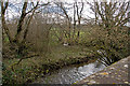 Looking up the River Yeo from Yeo Mill Bridge in EX36 3NU