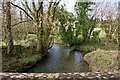 Looking down the river Yeo from Yeo Mill Bridge in EX36 3NU