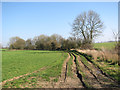 Track into fields by Low Cottage in NR35 1PL
