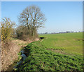 Stream north of Hill   Farm in NR35 1PL