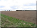 Arable land, Pockthorpe in PE31 8TB