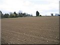 Arable land and house, Pockthorpe in PE31 8TA