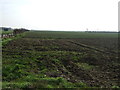 Farmland, Toynton St Peter in Toynton St. Peter
