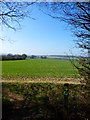 Looking west across large field from the edge of Old Down Wood in SO24 0BZ