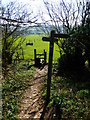 Footpath going south from Old Down Wood to Gilbert Street in SO24 0BZ