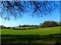 Fields between Petersfield Road and Lyeway Lane in SO24 0DW