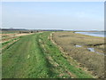 Sea Bank in Falkenham