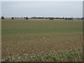 Farmland north of Low Road in PE24 4RQ
