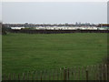 Grazing north of Wainfleet Road in PE25 2BQ