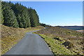 Road heading towards the Afon Pysgotwr Fawr in Llanddewi Brefi Community