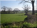Farmland near Churchpark Cottages in PL19 8NH