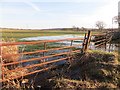 Flooded field,   North Couston in EH48 4LG