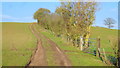 Farm track up a hill in GL18 1EN