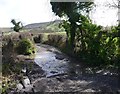 Ford across Henshall Brook, near Sutton Montis in BA22 7HB