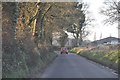 East Devon : Country Lane in EX11 1NA