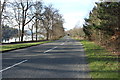 Road to Ayr at Glenlaggan in The Stewartry of Kirkcudbright