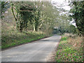 Ringland Lane past Blackhill Wood in Queen's Hills