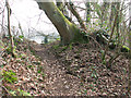 Path at Costessey Pits in NR8 5AW