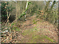 Path leading around Costessey Pits in NR8 5BA