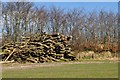 West Somerset : Grassy Field & Logs in TA22 9NT